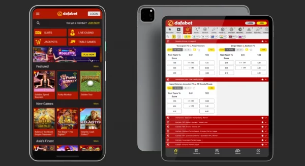 Cultivating Loyalty: VIP Programs and Reward Systems in Indian Online Casinos Promotion 101